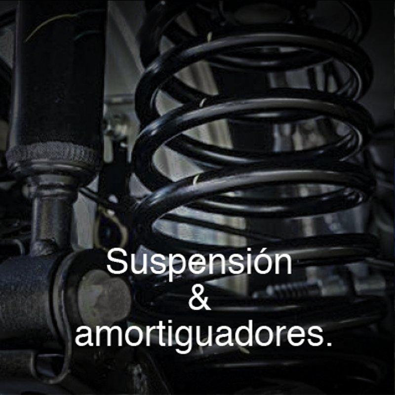 Servicio_mayor